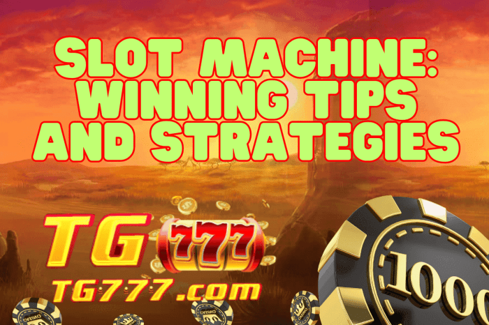 Slot machines win machine buffalo slots vegas las dollar penny play girls bonus daze