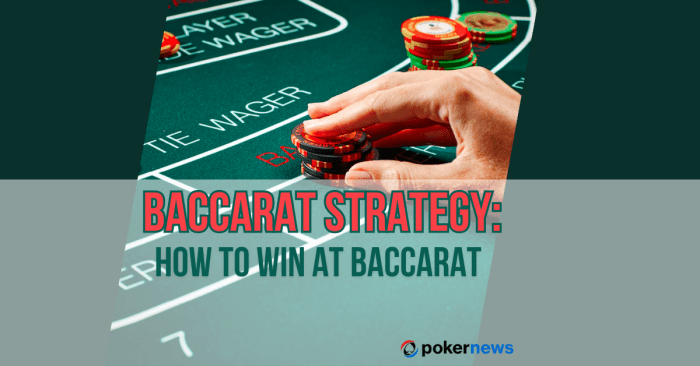 Cara Menang Baccarat