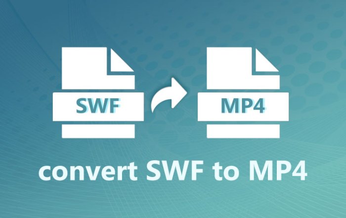 Convert SWF to MP4