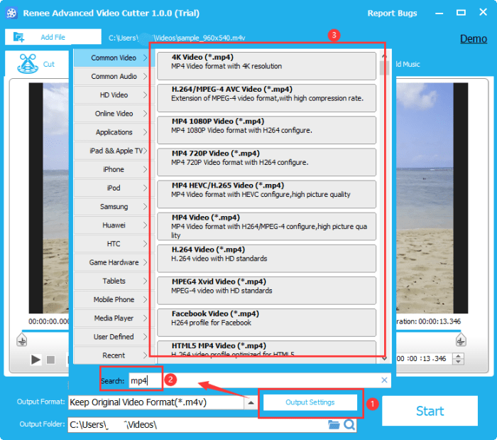 Convert SWF to MP4